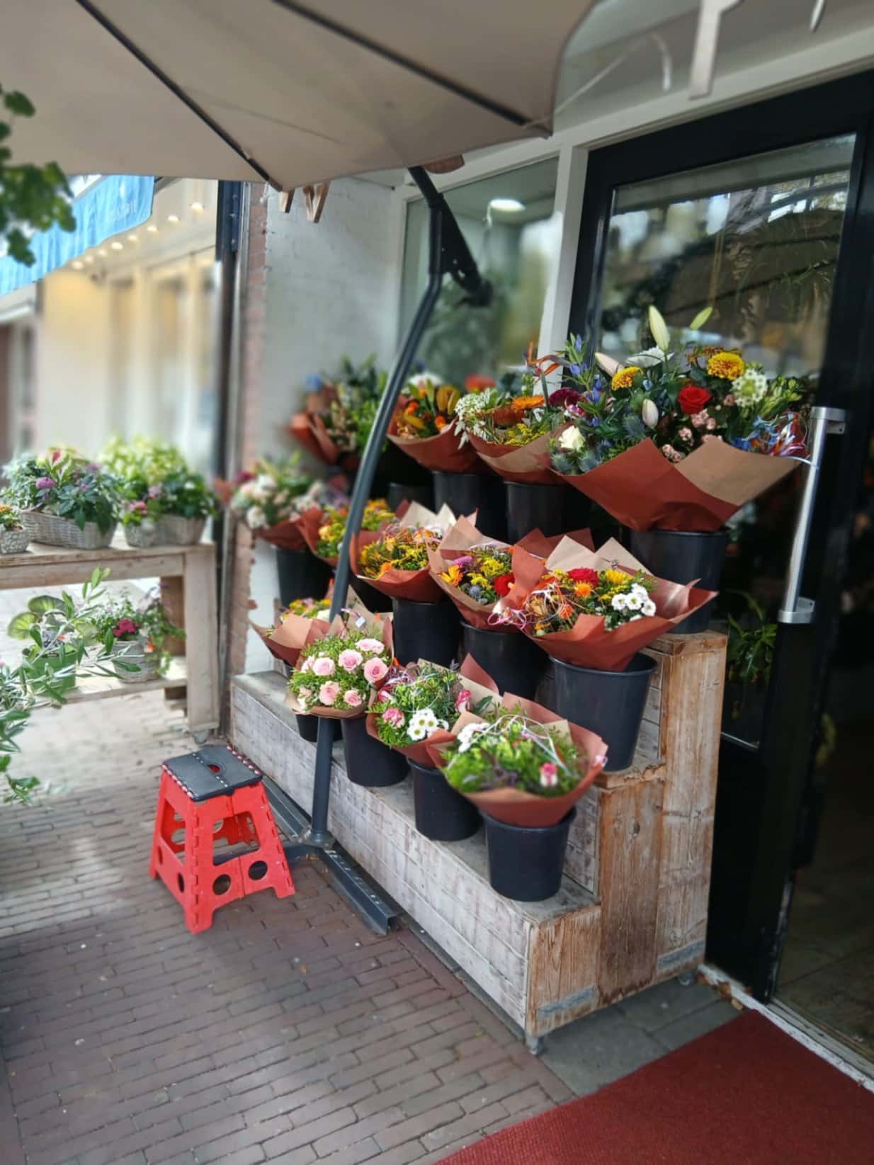 Bloemen en planten winkel in Delft centrum.