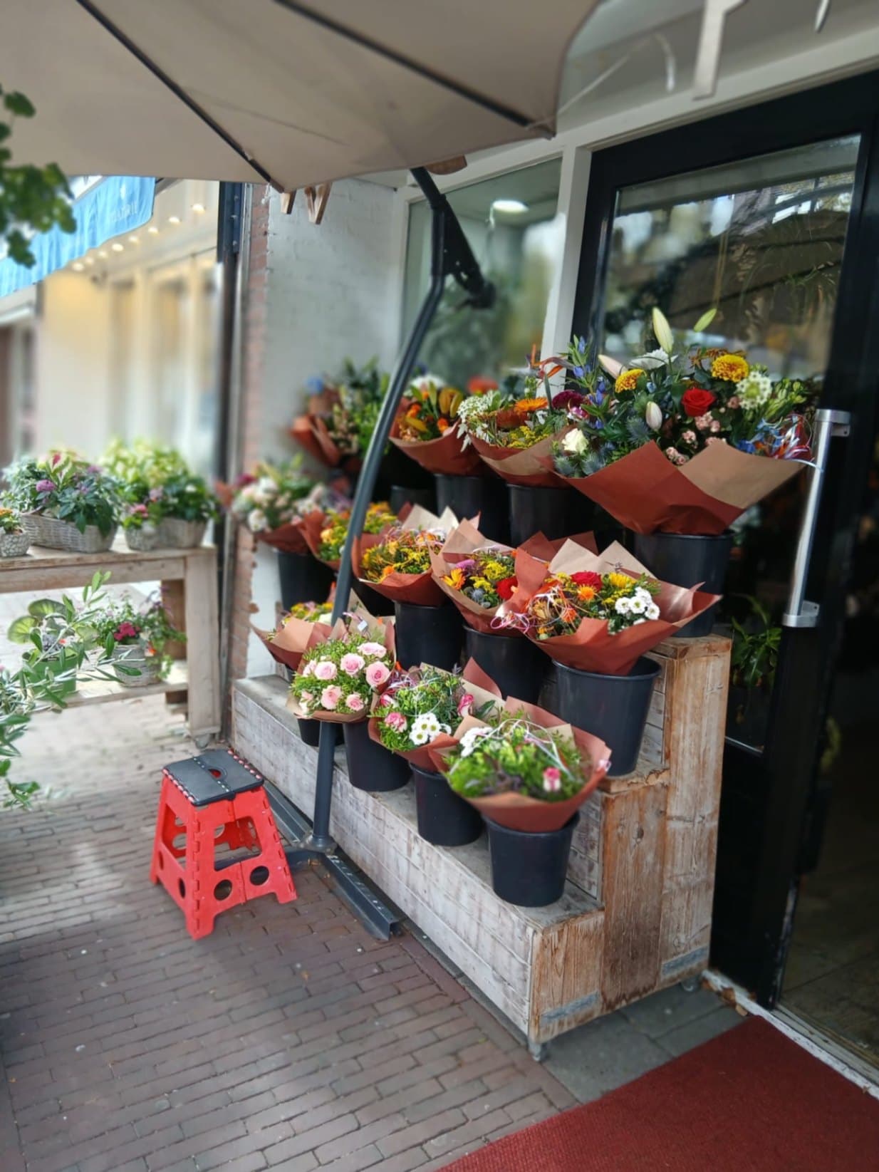 Bloemen en planten winkel in Delft centrum.