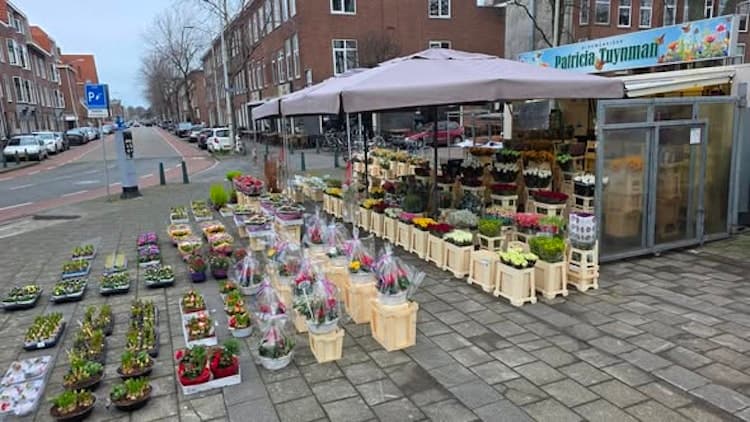 Goedlopende bloemenkiosk in Den Haag